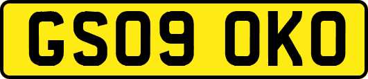GS09OKO