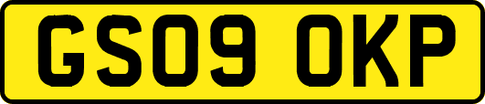 GS09OKP