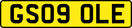 GS09OLE
