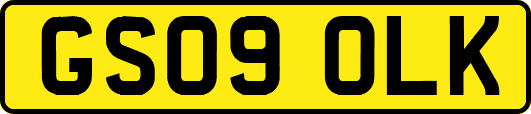 GS09OLK
