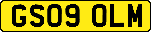 GS09OLM