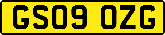 GS09OZG