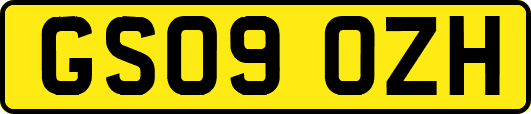 GS09OZH