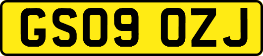 GS09OZJ