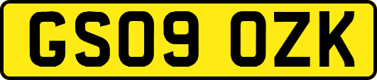 GS09OZK