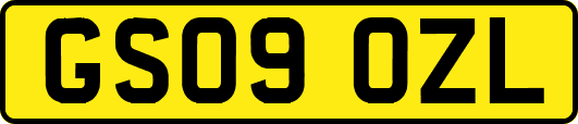 GS09OZL
