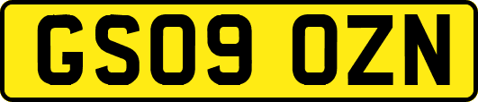 GS09OZN