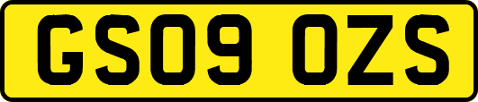 GS09OZS