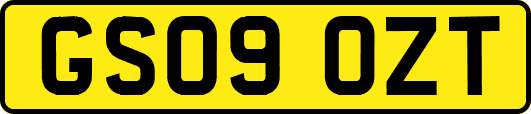 GS09OZT
