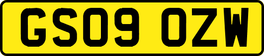 GS09OZW