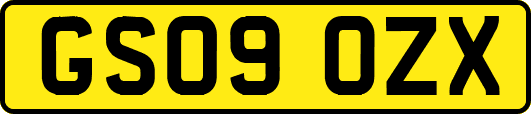 GS09OZX