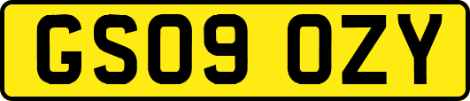 GS09OZY