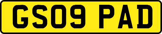 GS09PAD