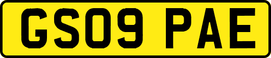 GS09PAE