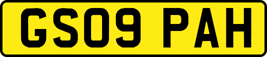GS09PAH