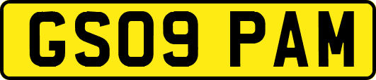 GS09PAM