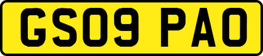 GS09PAO