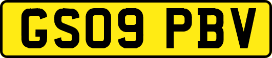 GS09PBV