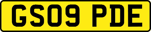 GS09PDE