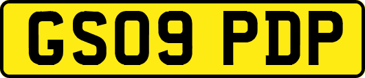 GS09PDP