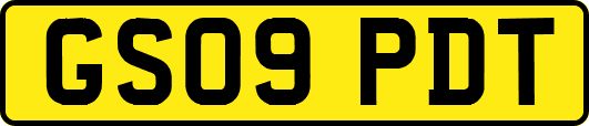 GS09PDT