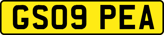 GS09PEA