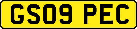 GS09PEC