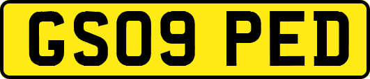 GS09PED