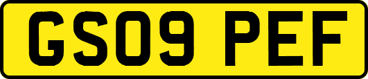 GS09PEF