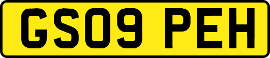 GS09PEH