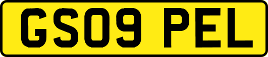 GS09PEL