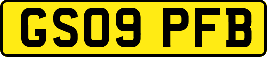 GS09PFB