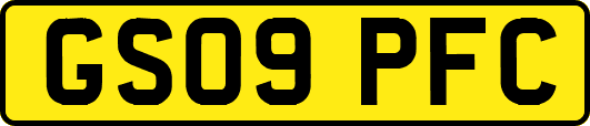 GS09PFC
