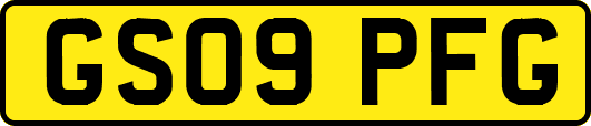 GS09PFG