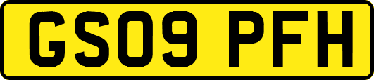 GS09PFH