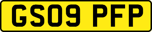 GS09PFP