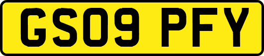GS09PFY