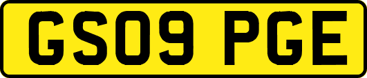 GS09PGE