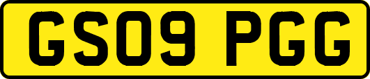 GS09PGG