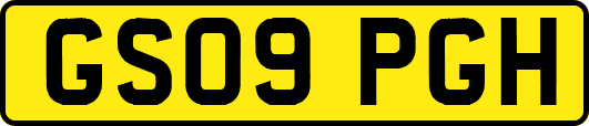 GS09PGH