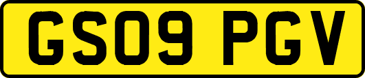 GS09PGV
