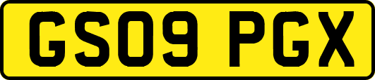 GS09PGX