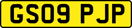 GS09PJP