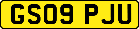 GS09PJU