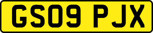 GS09PJX
