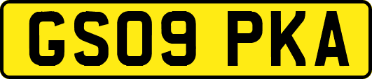 GS09PKA