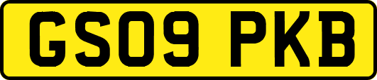 GS09PKB