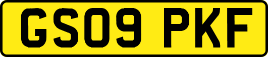 GS09PKF