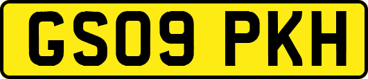 GS09PKH