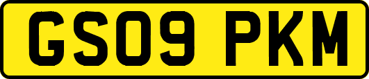 GS09PKM